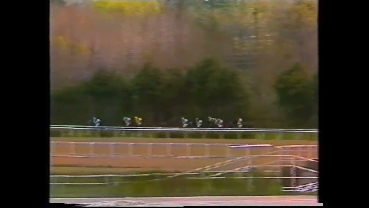 1987 (111) Premio VIZCONDESA DE IRUESTE (Grupo III) ROYAL GAIT (GB) (1983) cuadra Pereira