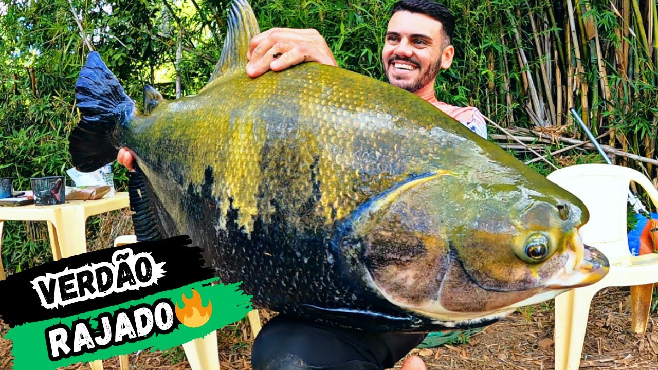 PESCARIA DE SUPERFÍCIE RENDEU DEMAIS NO RANCHO!