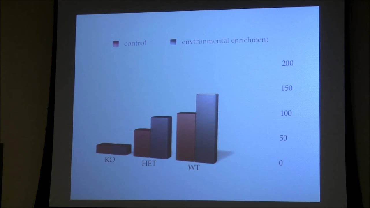 Genetic Causes of Autism in Jacobsen Syndrome (2014)