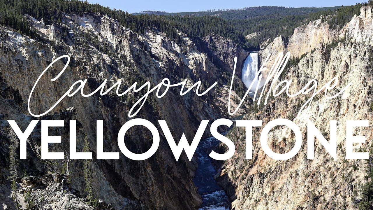 Yellowstone: Canyon Village and West Thumb