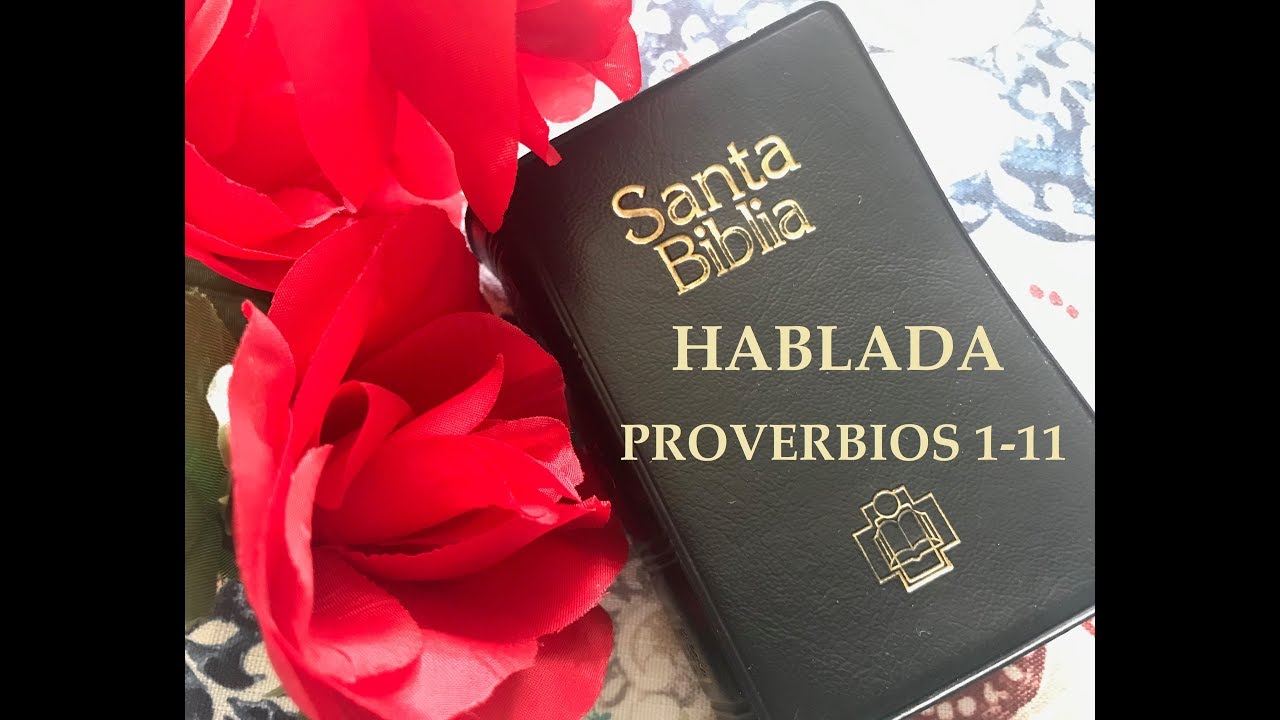 LA BIBLIA EN 6 MESES: PROVERBIOS 1-11