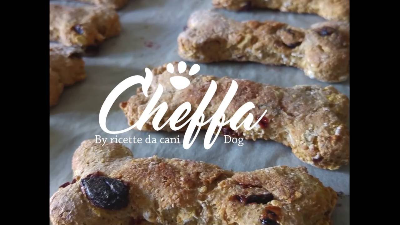 biscotti ai fiocchi d'avena (per cani) - HOMEMADE DOG TREATS