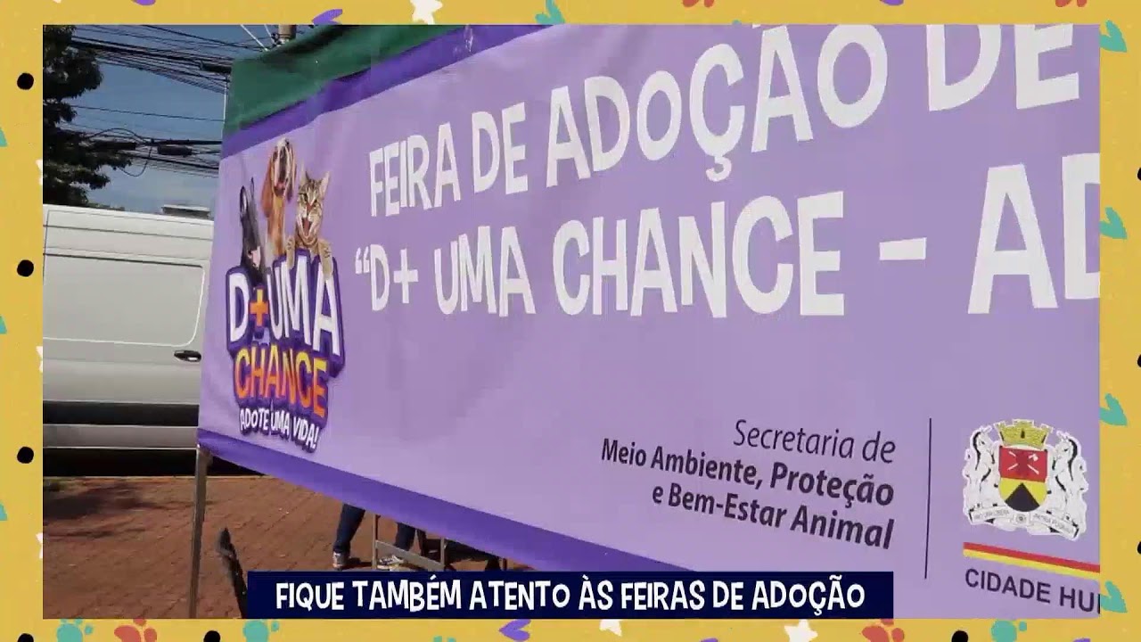 TV C&acirc;mara Sorocaba - Programa&ccedil;&atilde;o - 24 horas