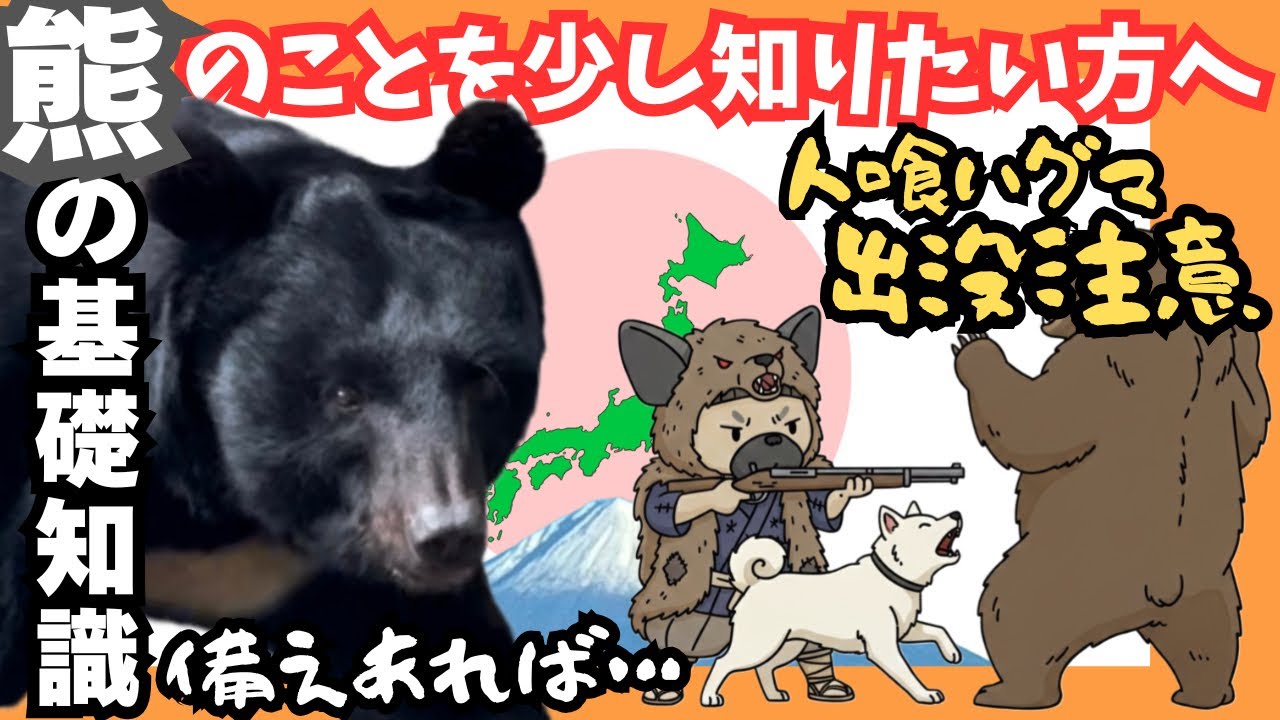 日本のクマを学ぶ〜熊の基礎知識〜クマのことをもう少し知りたい方へ