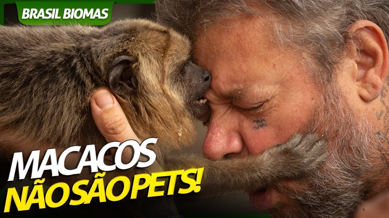 MACACOS SÃO FOFOS MAS NÃO SÃO PET! | RICHARD RASMUSSEN