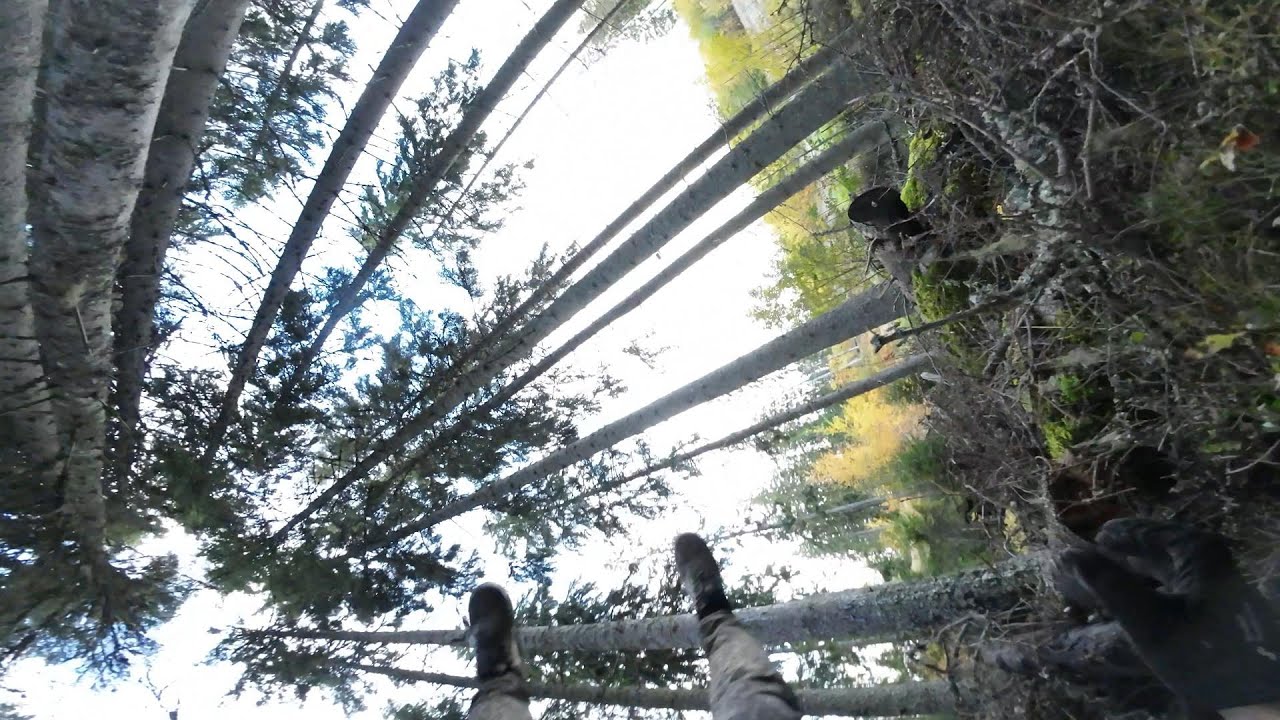 Sappee Bike Park 14.10.2024