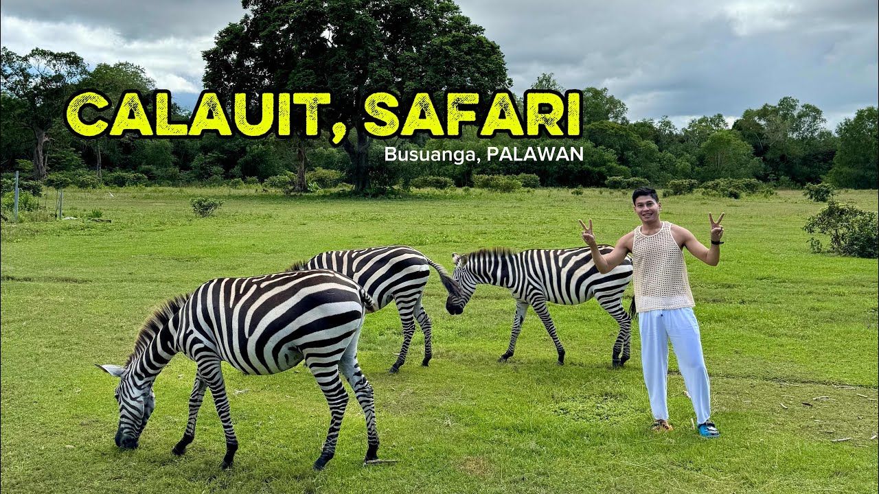 Culauit Safari 🦒🦓 Busuanga, PALAWAN 🇵🇭
