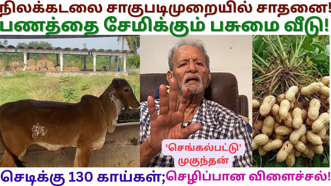 இப்படி ஒரு பண்ணை வீடு | Ferrocement House Construction | Chengalpattu Mukundan | Natural Farming