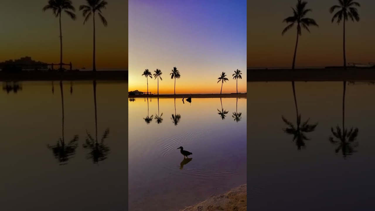 Different sight of the world ✨️