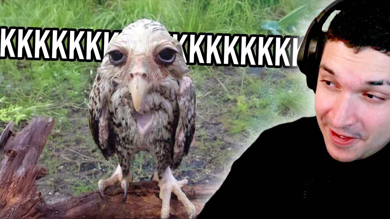 DOSE DE INTERNET só pra ficar tranquilo no sabadão