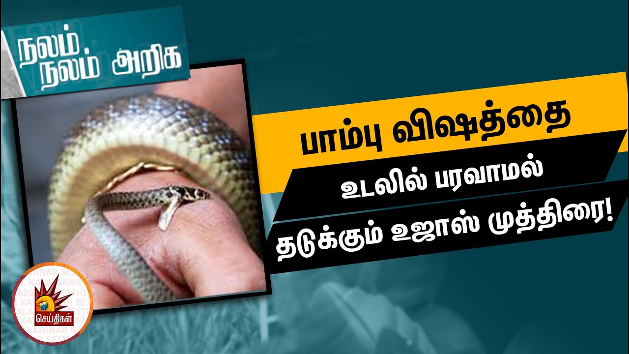 பாம்பு விஷத்தை உடலில் பரவாமல் தடுக்கும் உஜாஸ் முத்திரை! | Ushas Yoga Mudra | HydroPhobia