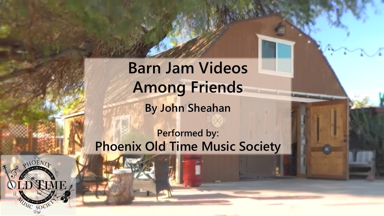Among Friends by John Sheahan