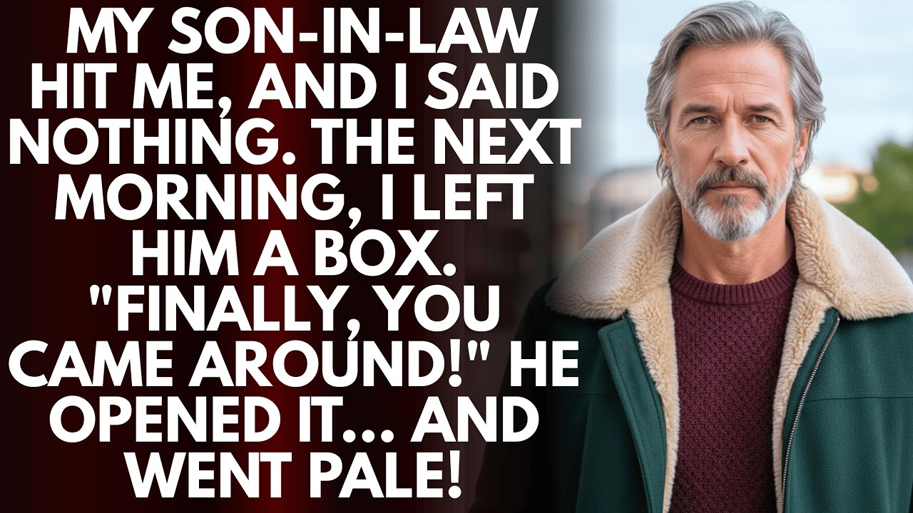 My Son-in-Law Struck Me. The Next Morning, I Left a Box on His Doorstep — He Thought It Was a Peace…