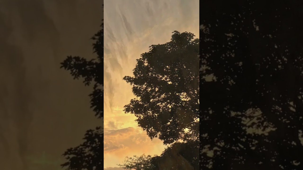 City Skylines #laidbackvibes #sunset #basspiano #musicalinstruments #makeyourownkindofmusic