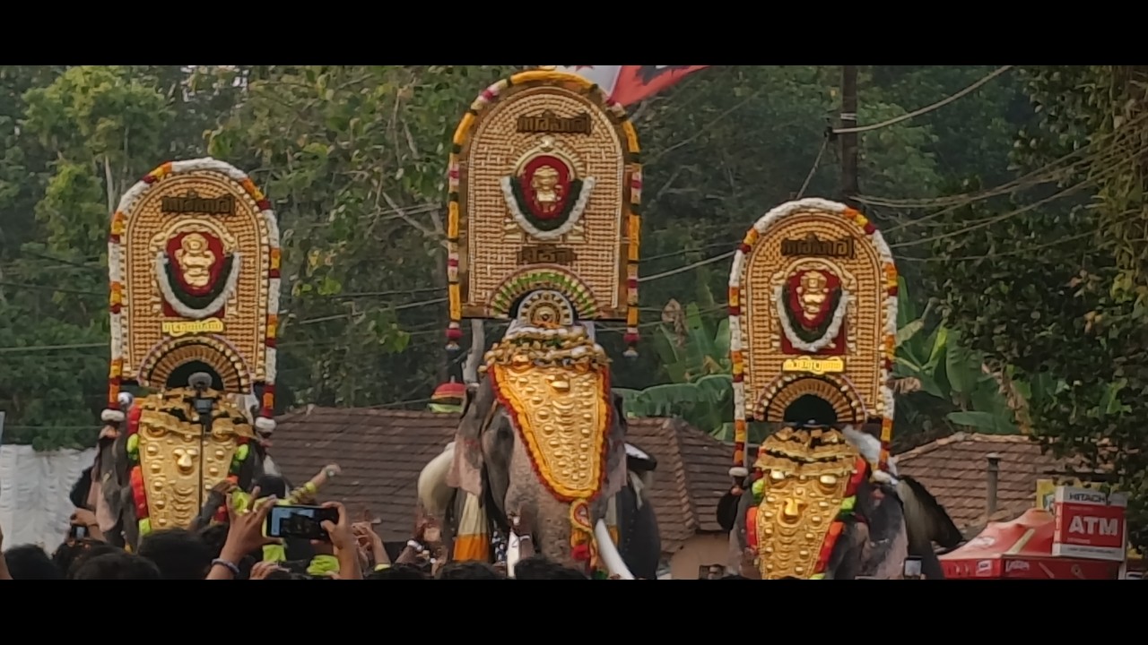 പൂരം കൂടാൻ പോവ്വാ