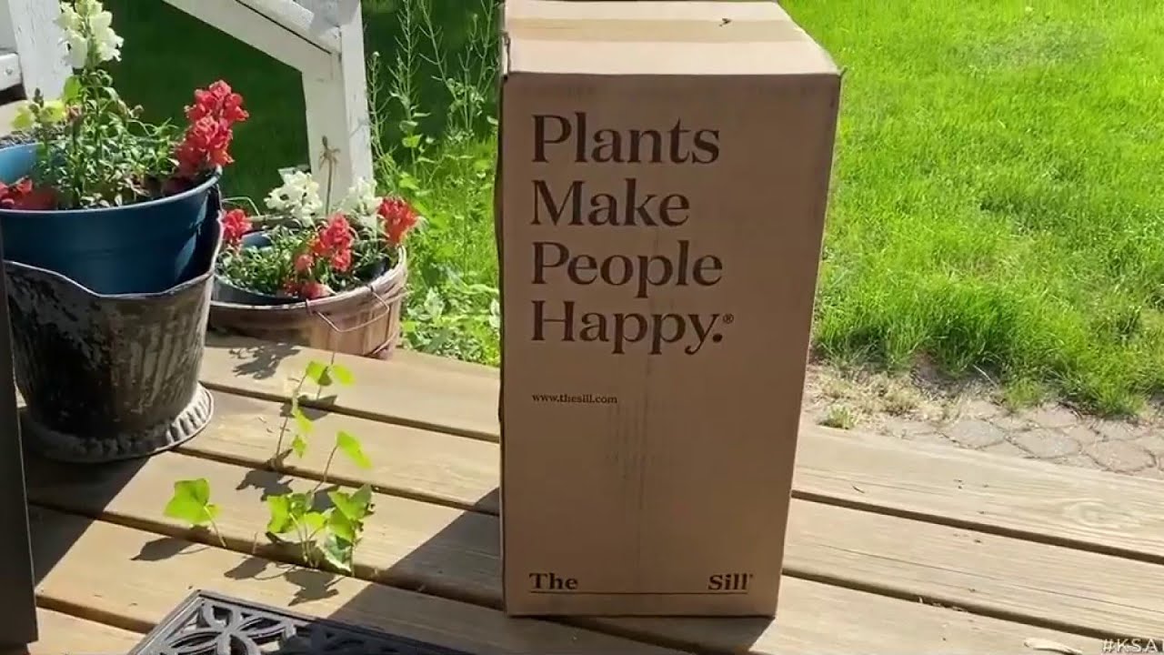 How to pick the right retailer to buy plants online