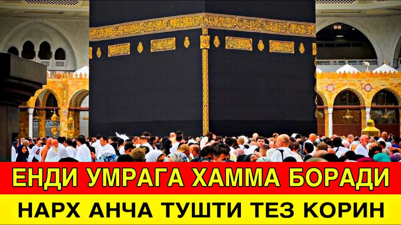 ЕНГ АРЗОН УМРА САФАРИ НАРХЛАРИ