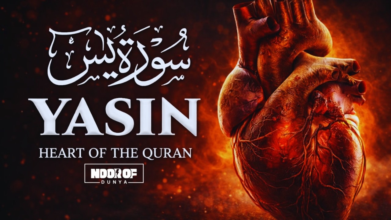New Surah Yasin (سورة يس) | The Heart of the Quran | Calm & Relaxing Recitation | | Ramadan 2026🌙