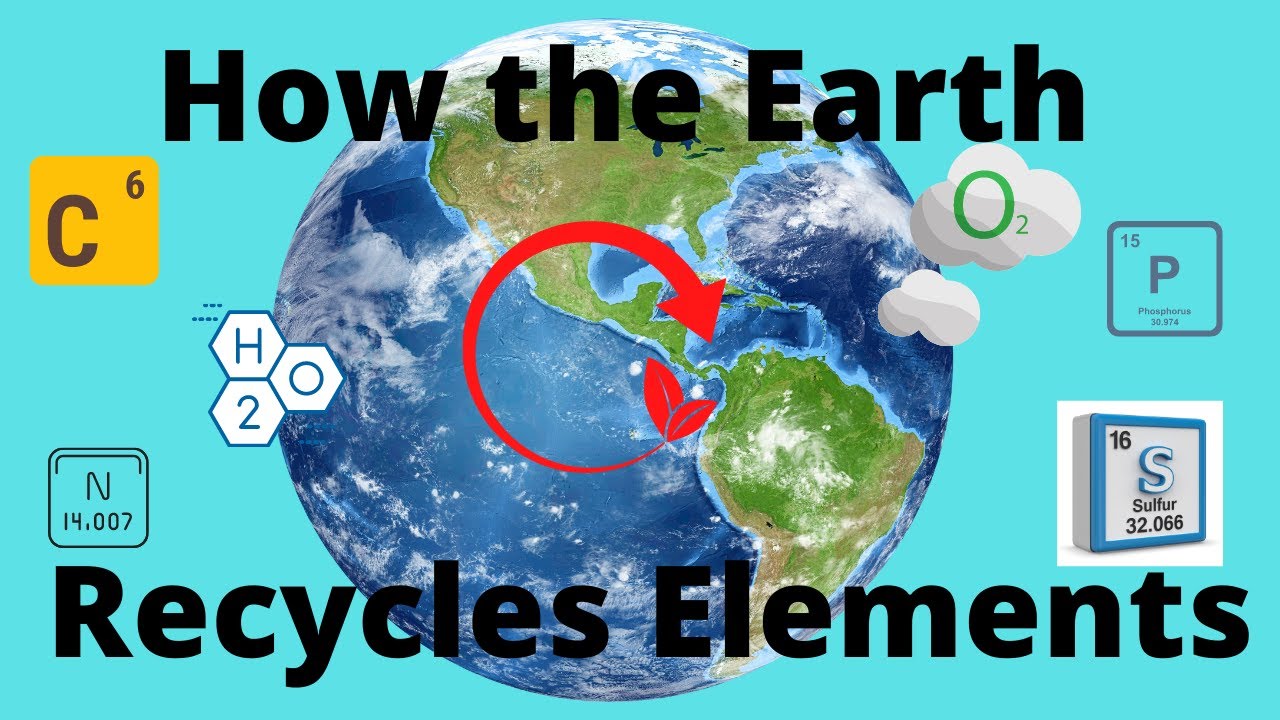 Biogeochemical Cycles Carbon Hydrogen Nitrogen Oxygen Phosphorus Sulfur