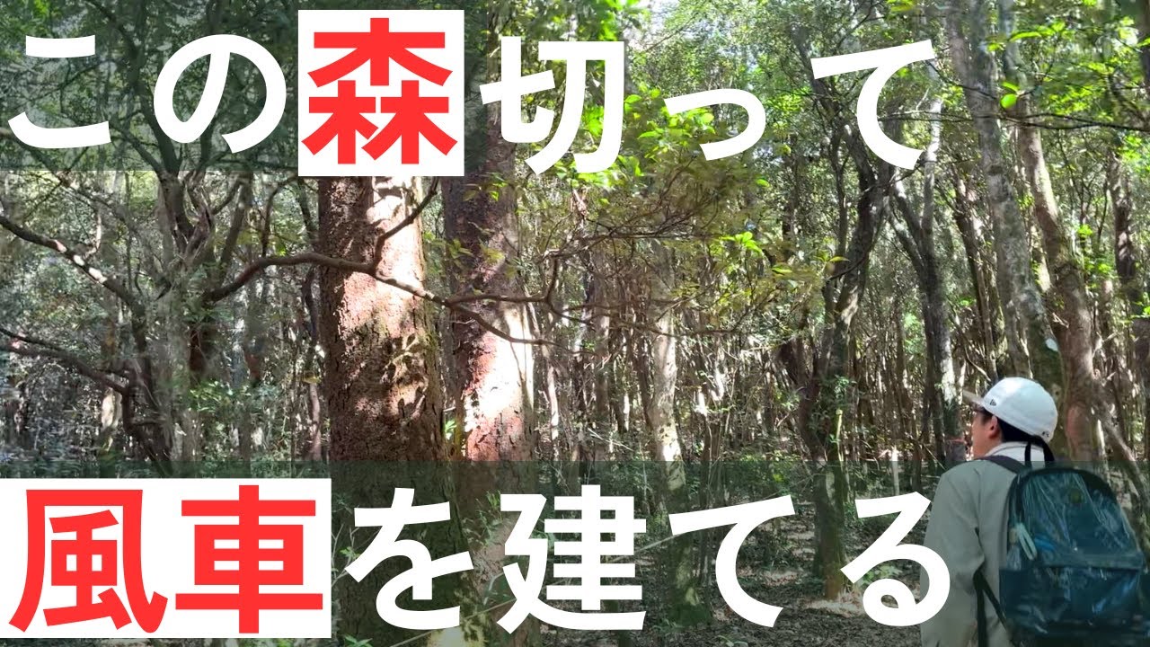 国見山登山──風力発電の建設予定地を歩く
