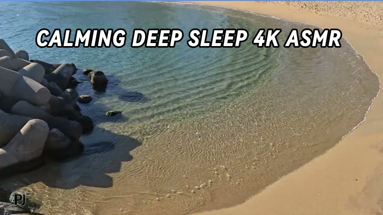 Healing K-Ocean Waves: Winter Silence & Sea Sounds | 癒しの波の音 | Perpetual Journey