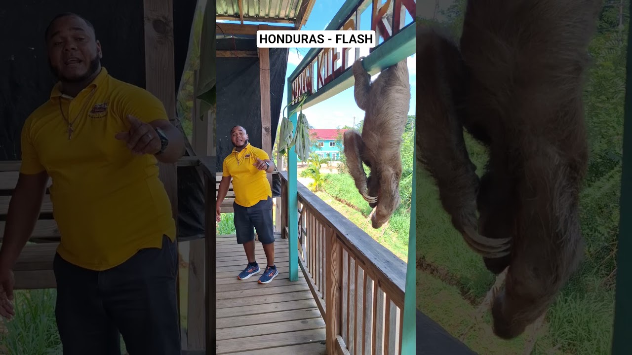 #honduras
