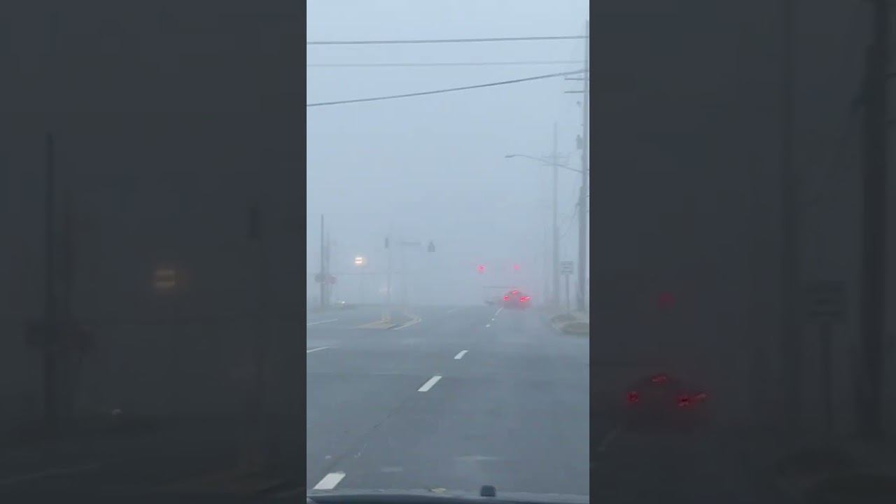 Can you drive through fog ?