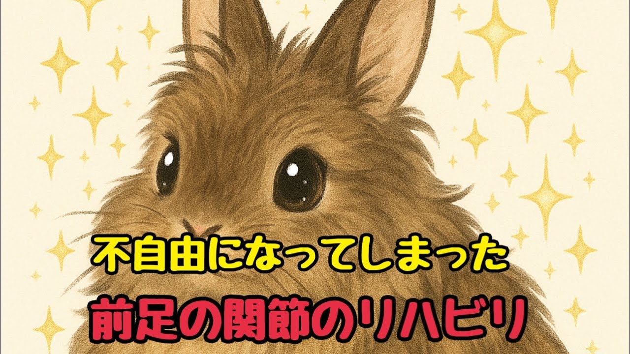 不自由になった前足