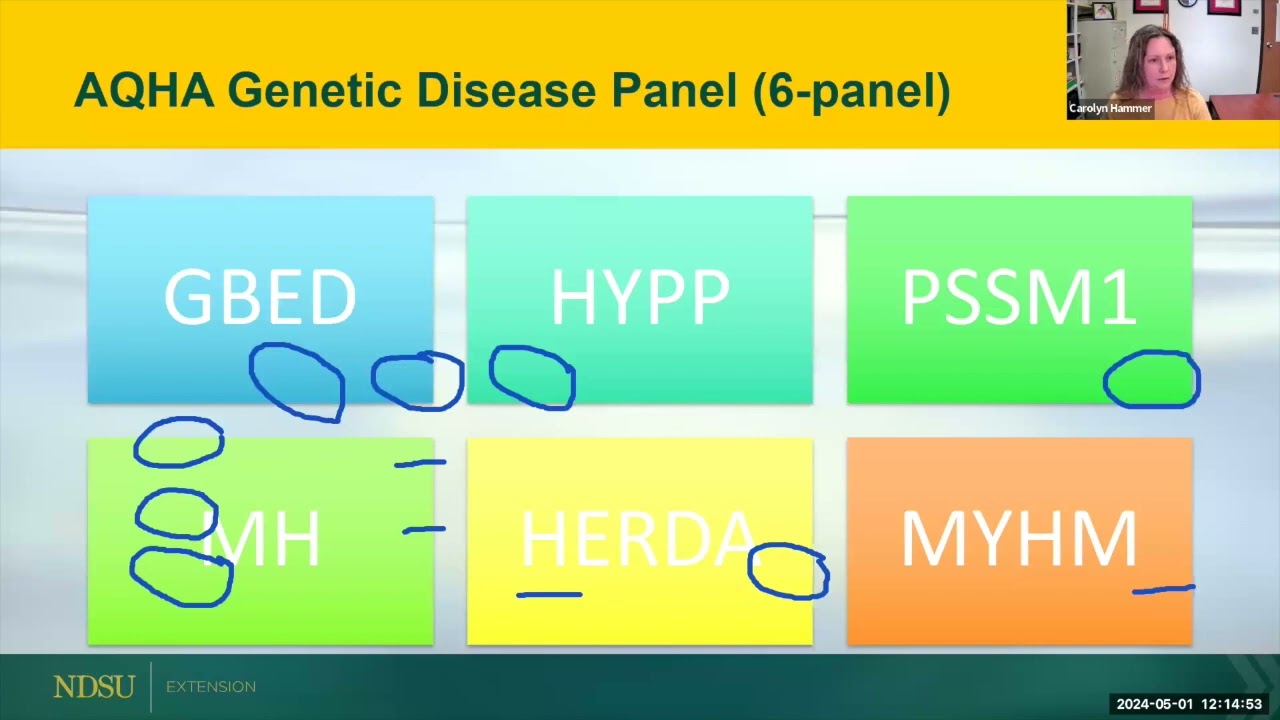 Genetic Disease Overview, Quarter Horses - NDSU Extension Horse Management Webinar Series