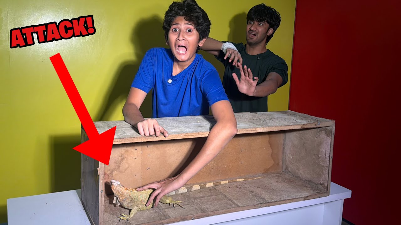 WHATS IN THE BOX CHALLENGE! *WILD ANIMALS*