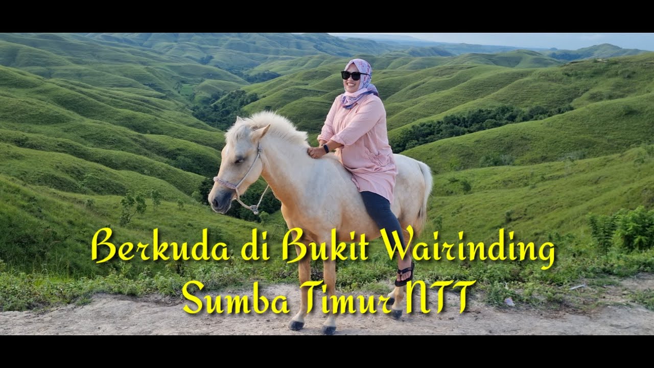 Pesona Bukit Wairinding Landscapes Savana di Sumba Timur NTT