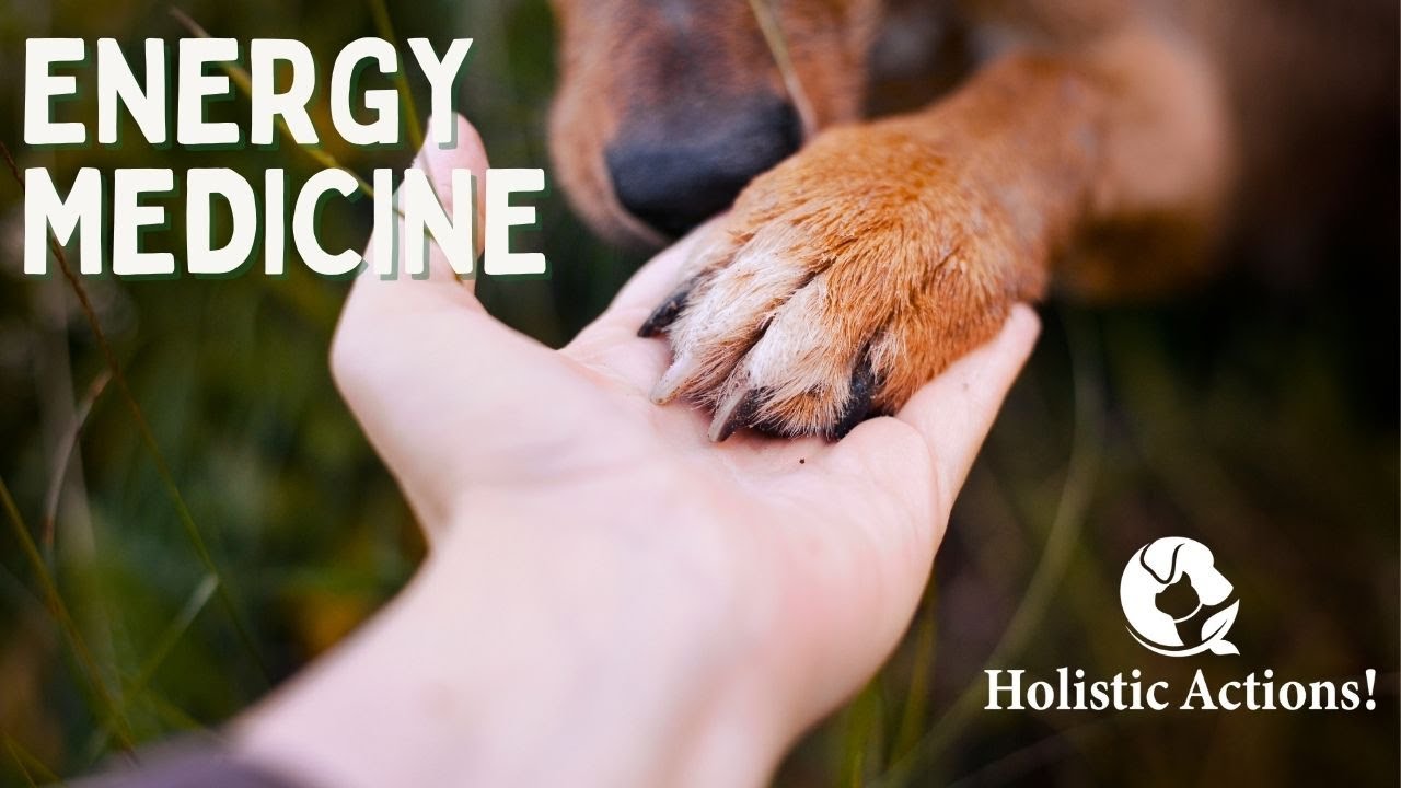 Healing Pets with Energy Medicine
