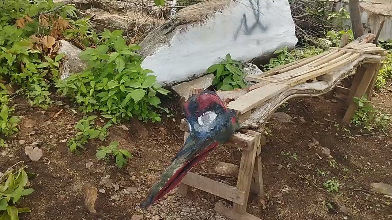 SANTUÁRIO ECOLÓGICO DOS ÍNDIOS KARIRI NOVOS DA CACHOEIR DE MISSÃO VELHA CE.SEJAM BEM VINDO.
