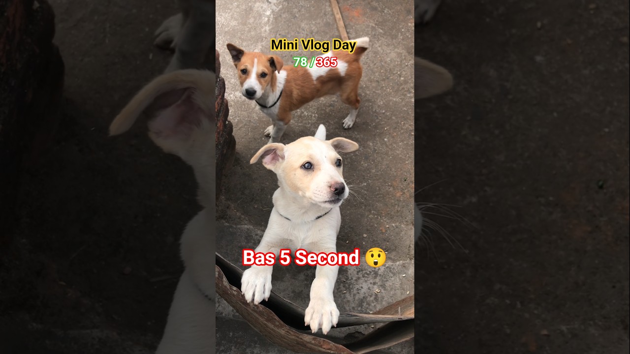 5 Second Mein Sab Badal Gaya 😱 