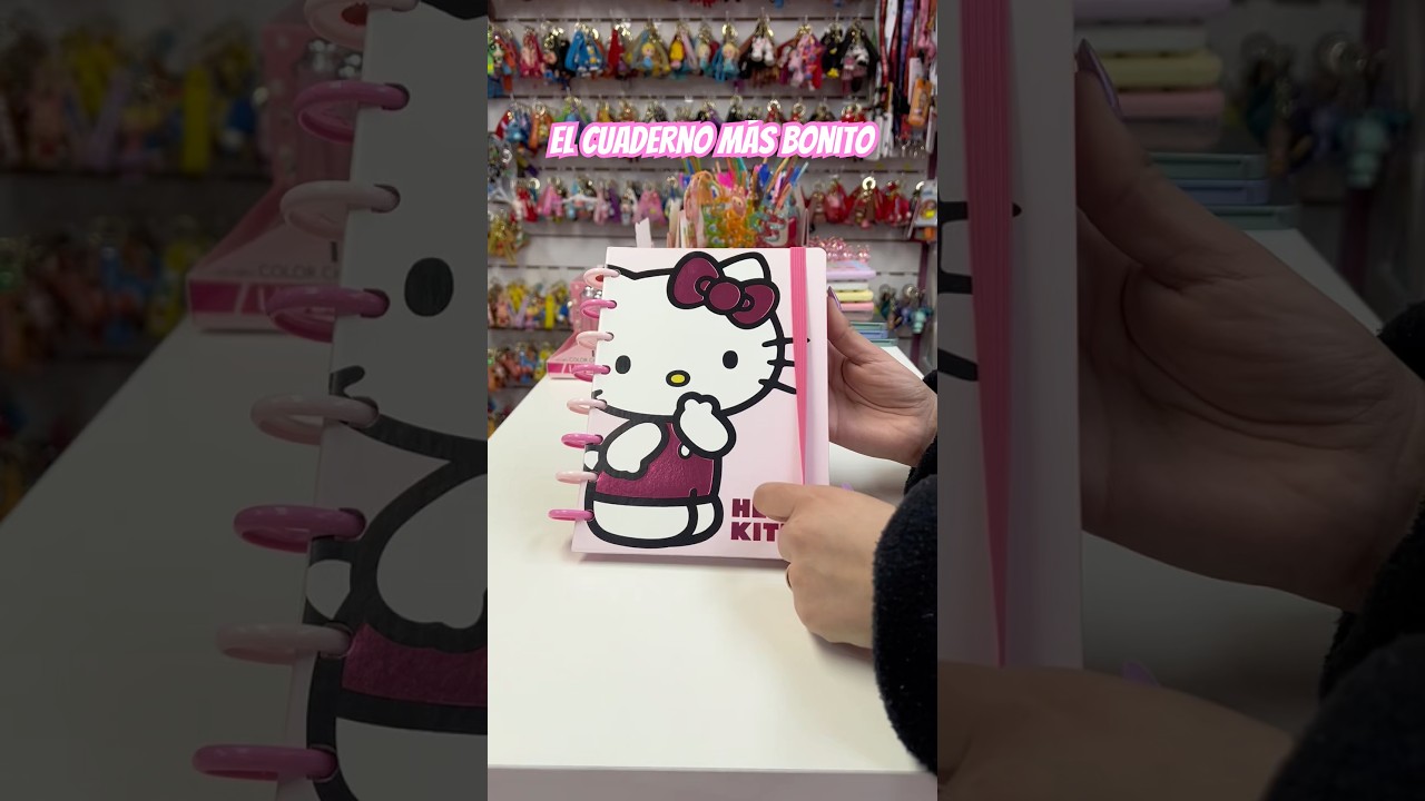 El cuaderno m&aacute;s lindo para llevar a la facultad #cuadernos #kitty