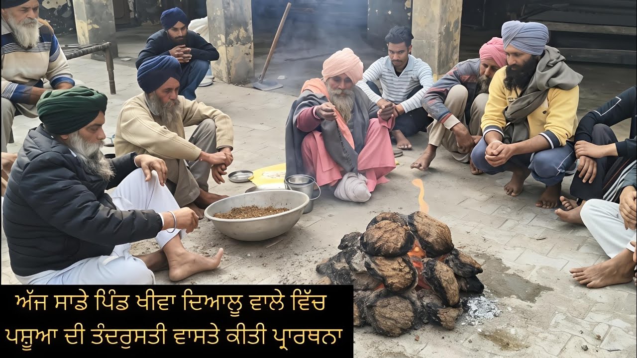  ਪਿੰਡ ਖੀਵਾ ਦਿਆਲੂ ਵਾਲੇ ਵਿੱਚ ਪਸ਼ੂਆ ਦੀ ਤੰਦਰੁਸਤੀ ਵਾਸਤੇ ਕੀਤੀ ਧੂਣੀ ਲਾ ਕੇ ਪ੍ਰਾਰਥਨਾ 