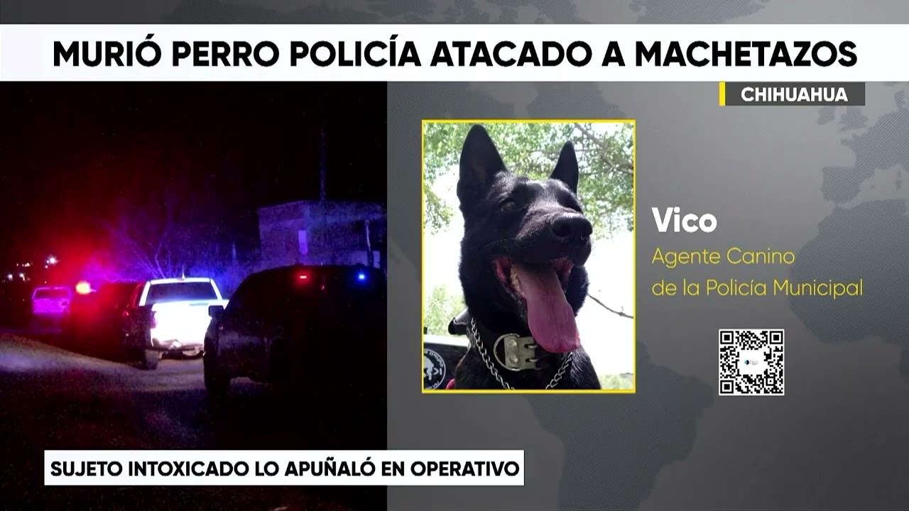Murió perro policía atacado a Machetazos