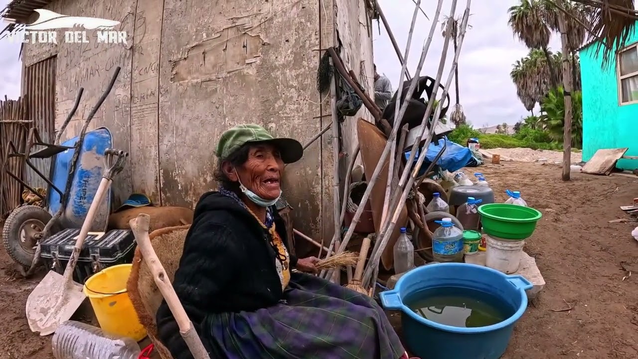 Construí una casita a la Tía Justina y esto fue lo que nos cocinamos