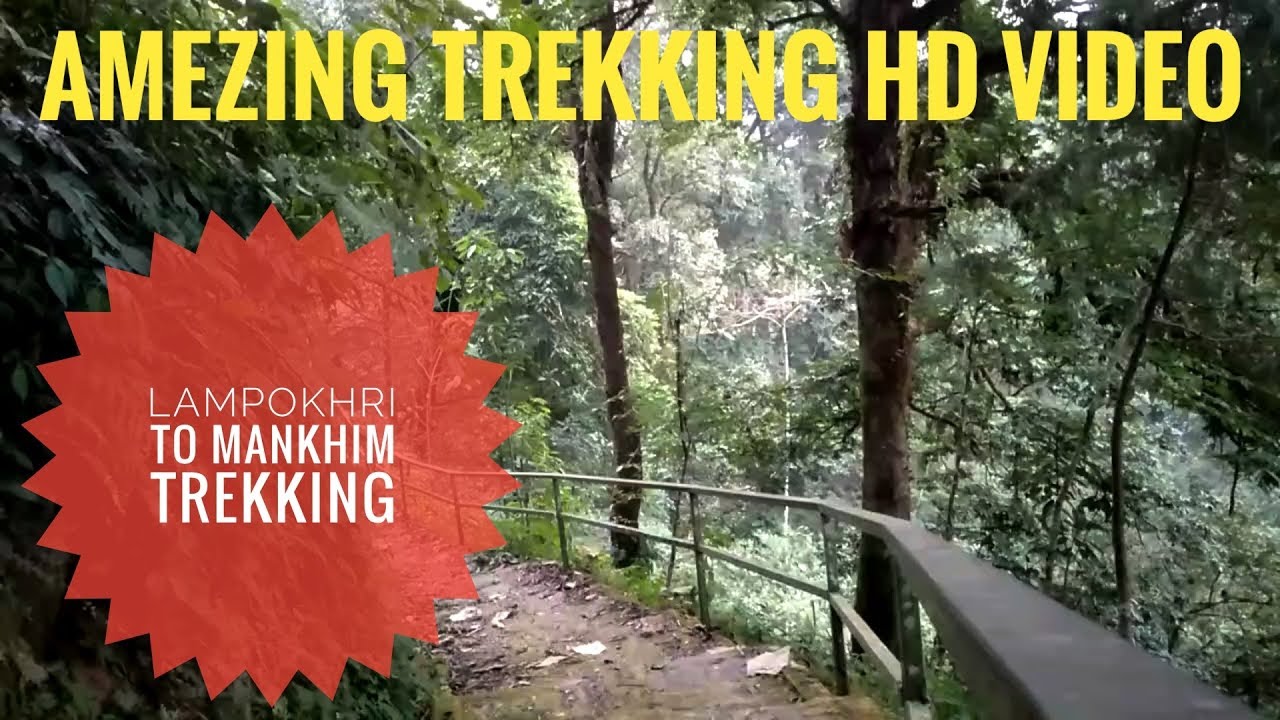 MANKHIM ,TREKKING,Lampokhri,birds at sikkim,WEEKEND TOUR,EAST SIKKIM,ARTIER,SIKKIM TREK,JUNGLE TREK
