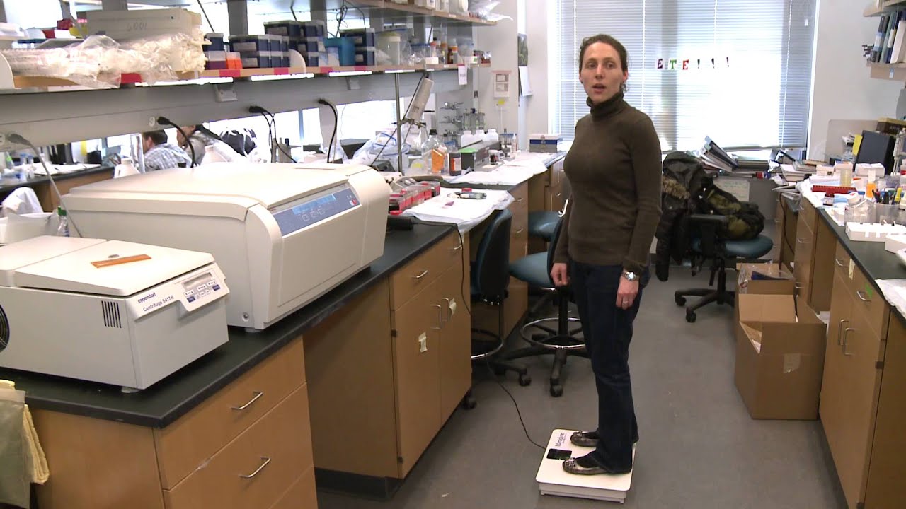 Low-Intensity Vibration as Therapy