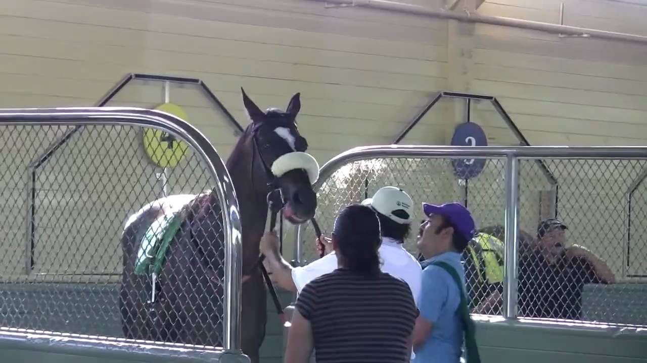Zenyatta whoo hoooo!!!