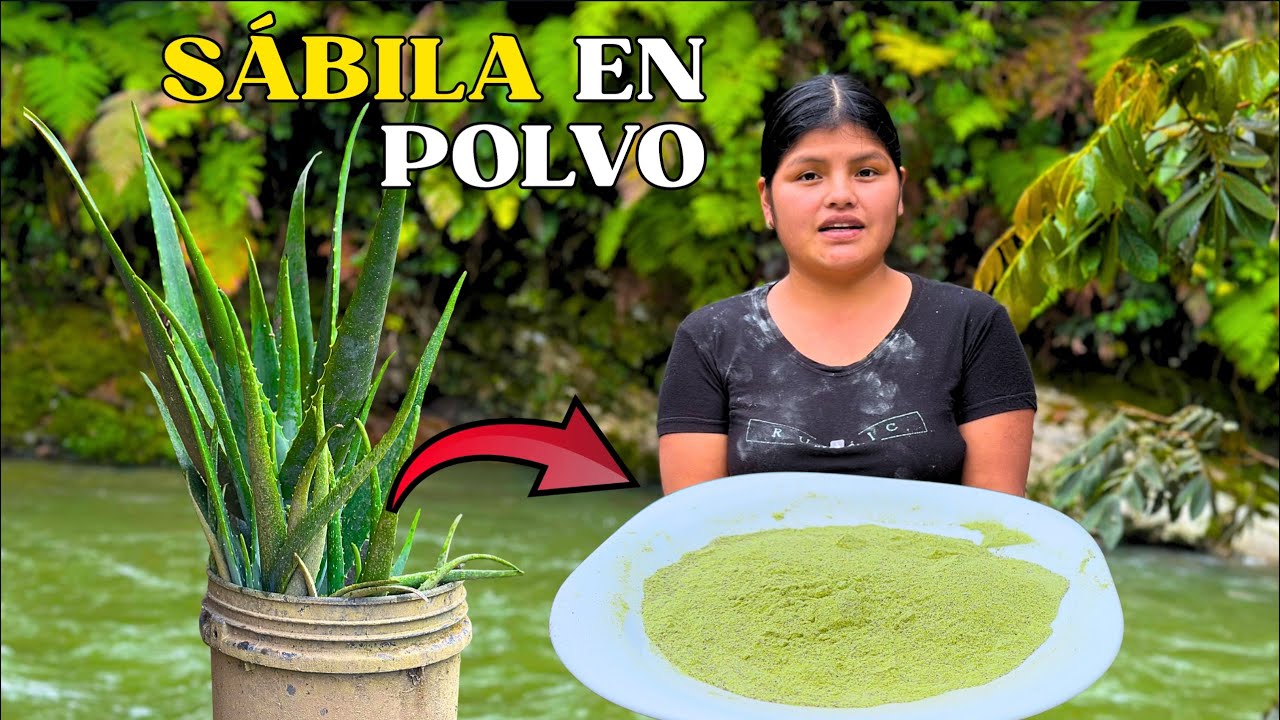 Sabias que puedes hacer sábila en polvo con tan solo un ingrediente - NATHALIA