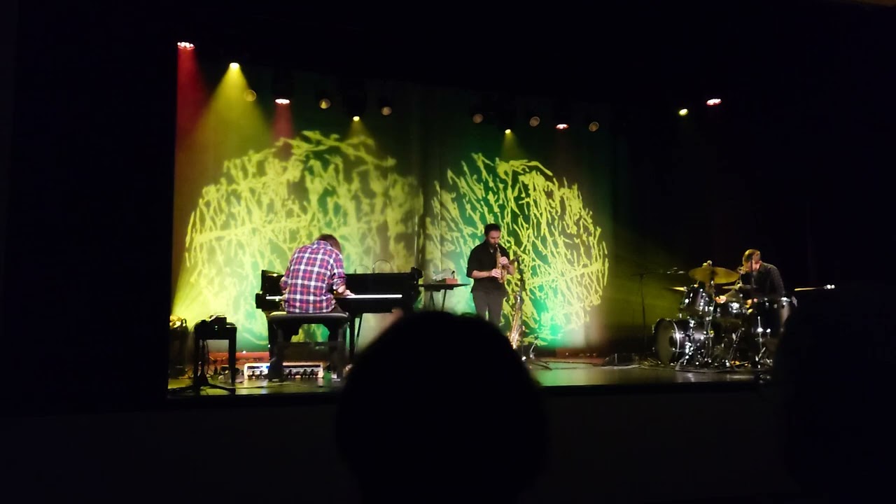 Mammal Hands - Boreal Forest (Kurhaus Bad Vilbel 04/Oct/2025)
