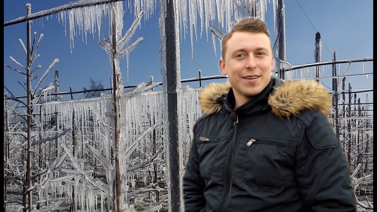 Sadownik sam zrobił zraszanie przeciwprzymrozkowe - ile to go kosztowało? Mariusz Napi&oacute;rkowski