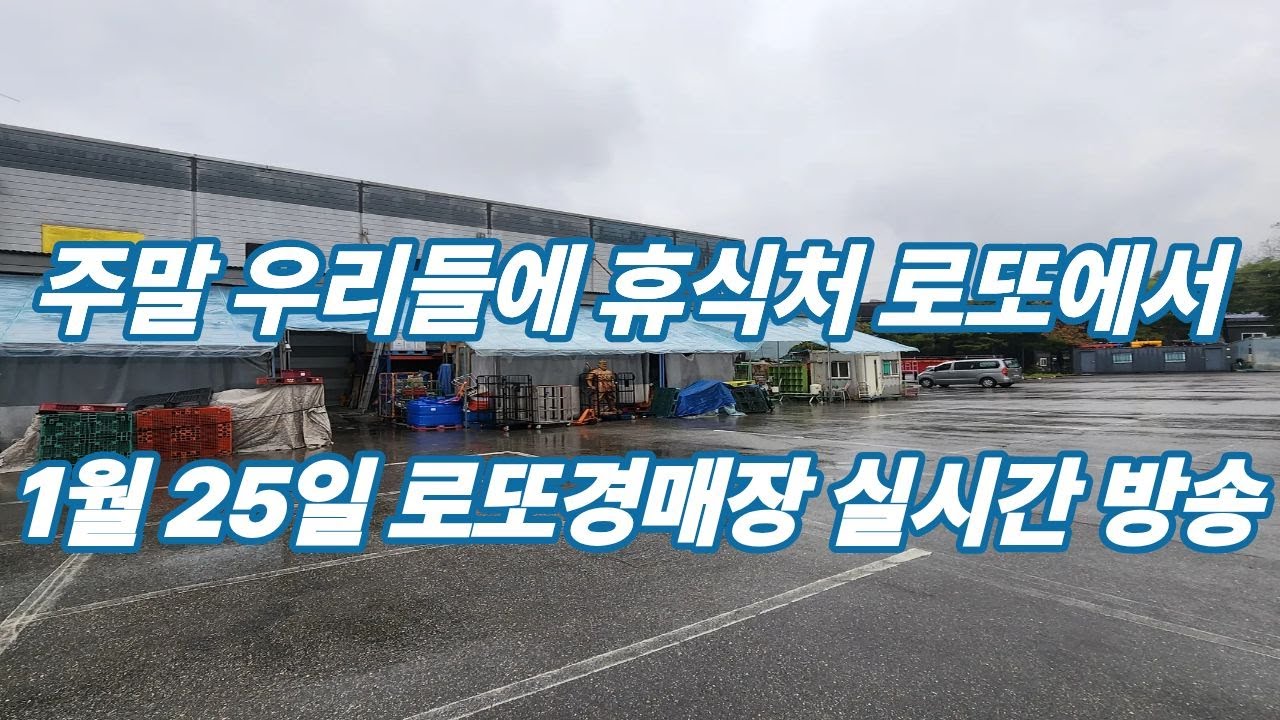 1월 25일  일요일 로또경매장 현장 실시간~
