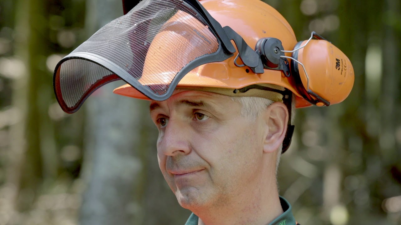 Motorsäge schärfen im Wald | Waldschärfung - Tutorial der Bayerischen Staatsforsten