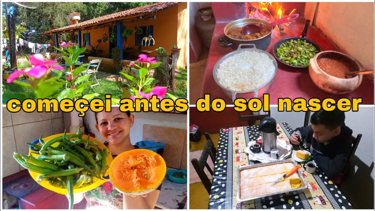 MINHA HUMILDE  VIDA NA ROÇA!!@canalzinho da ro