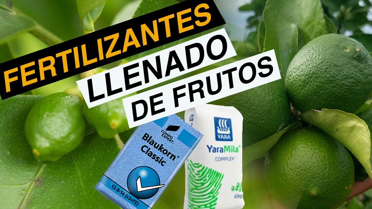 Que son los complejos NPK? YaraMila Complex y Blaukorn Classic.