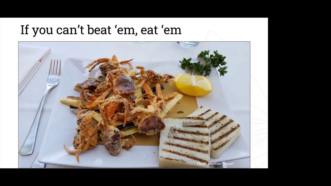 Soft-Shell Green Crabs 101: A ‘How To’