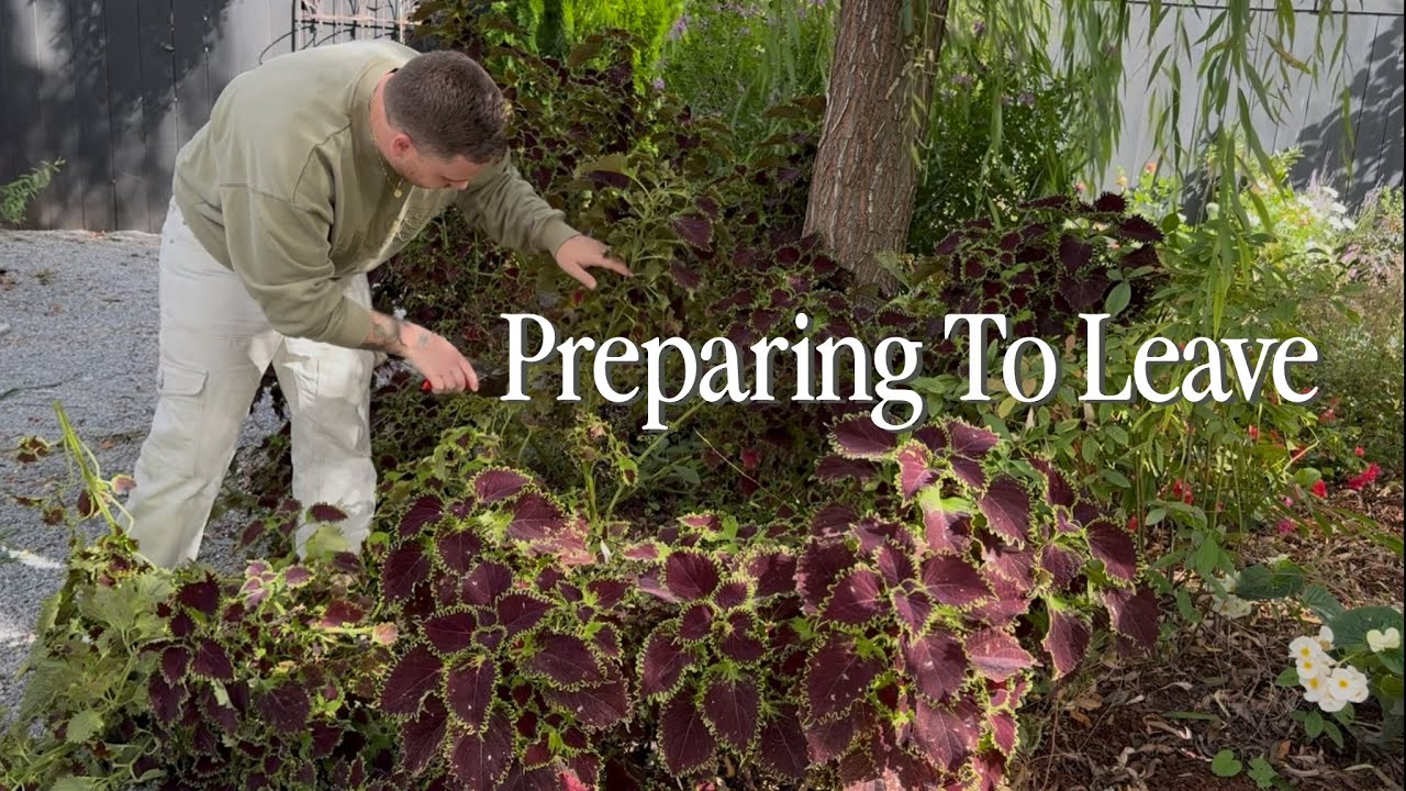 Уборка теплицы перед отъездом из города! || Посетите наш сад
